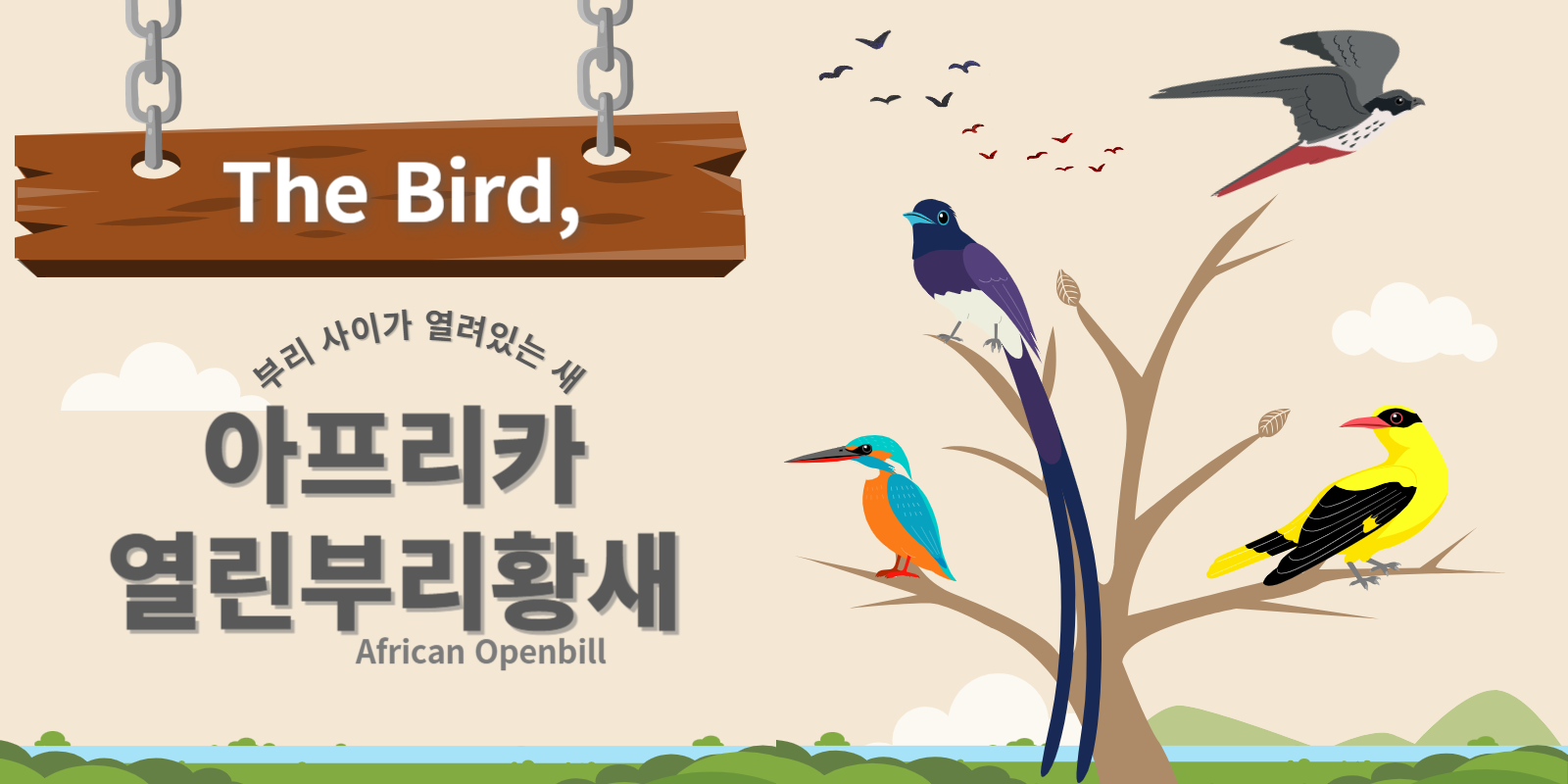 아프리카열린부리황새