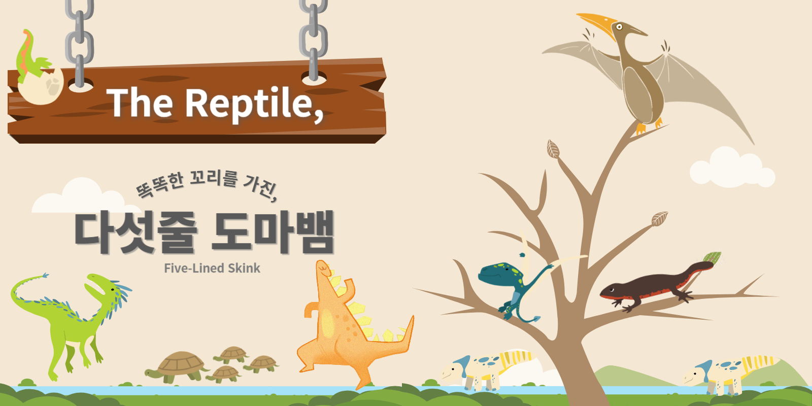 10.똑똑한 꼬리를 가진, 다섯줄도마뱀