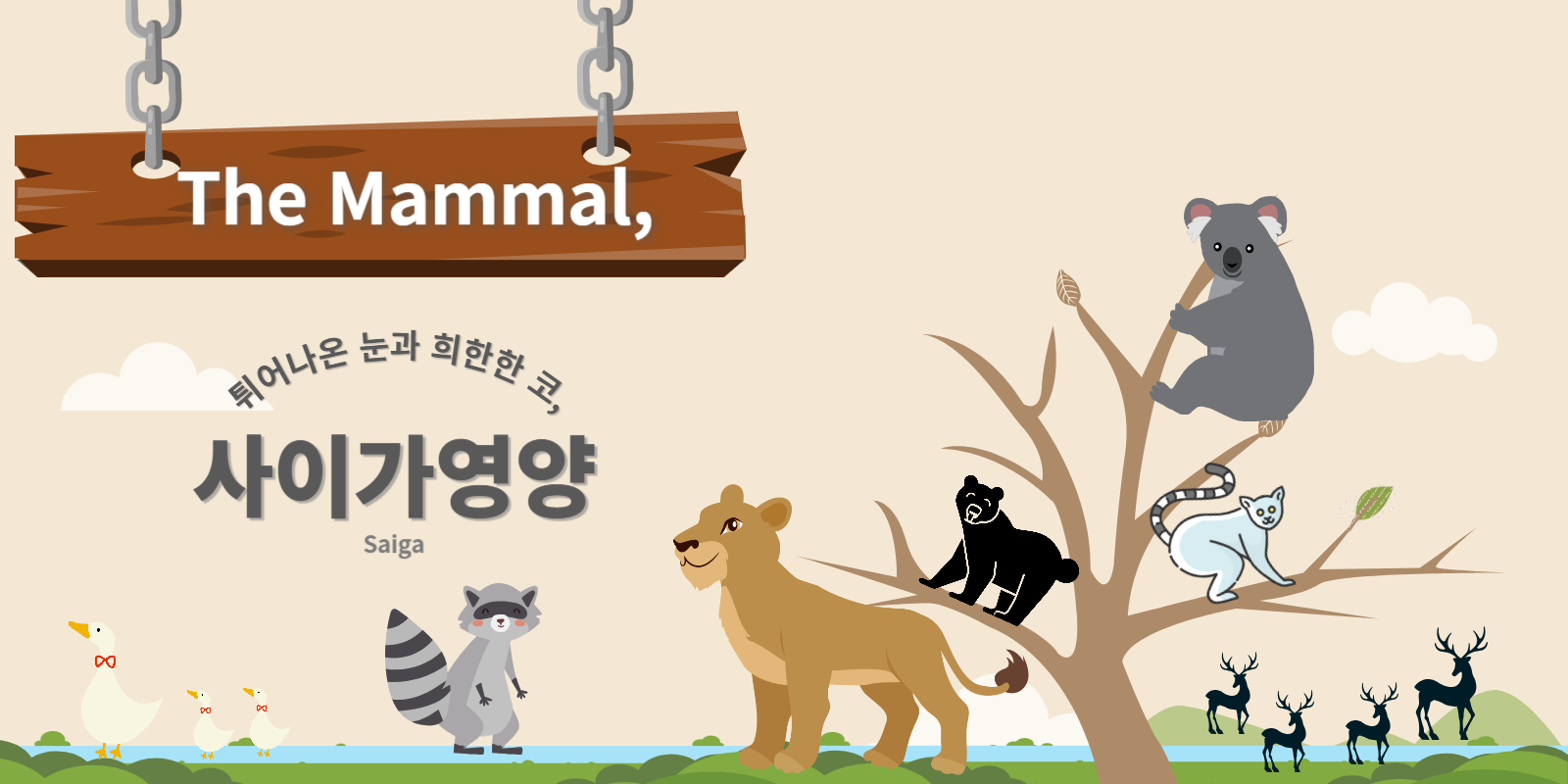 사이가영양