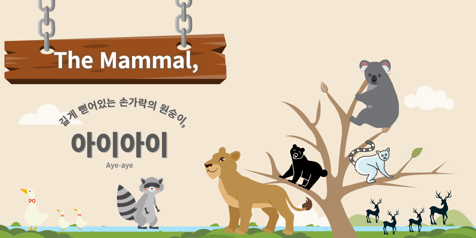 길게뻗어있는손가락의원숭이,아이아이