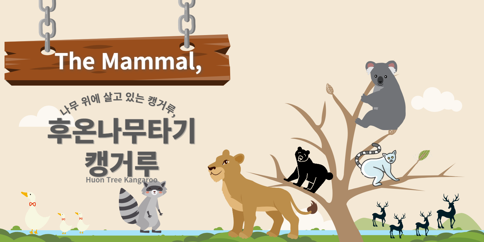 나무위에살고있는캥거루후온나무타기캥거루