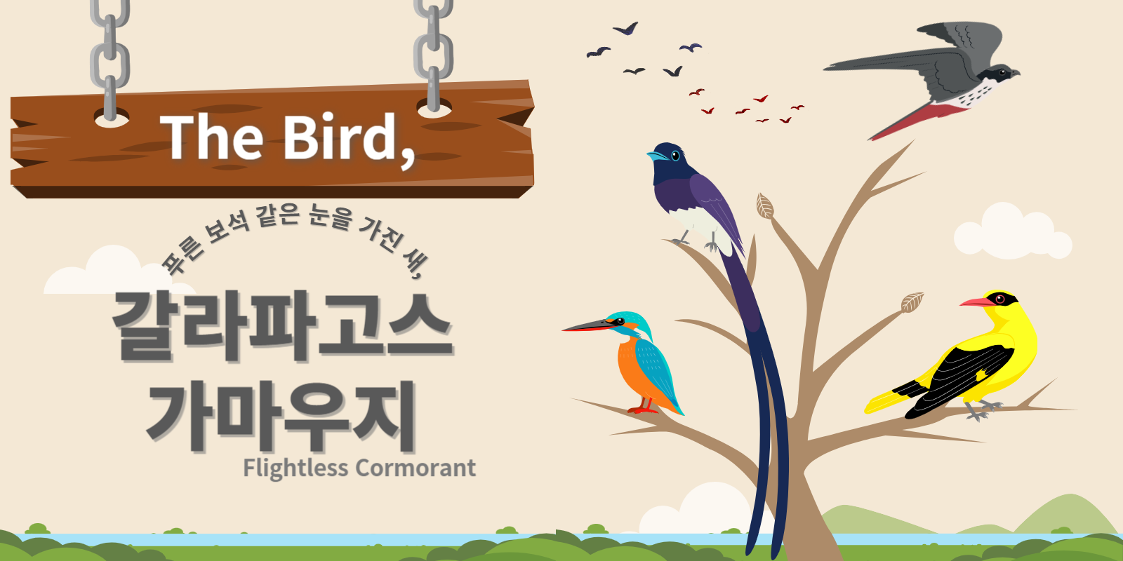 갈라파고스가마우지