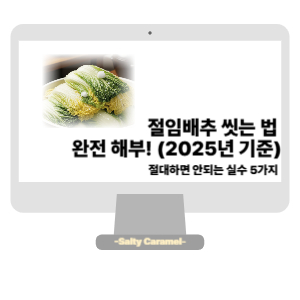 절임배추