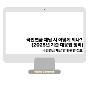 국민연금 체납