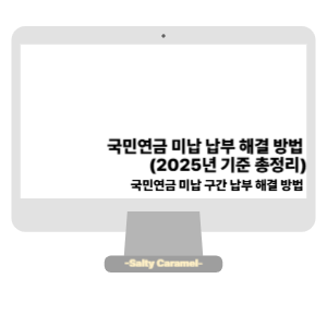 국민연금 미납 납부