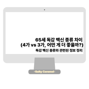 65세 독감 백신