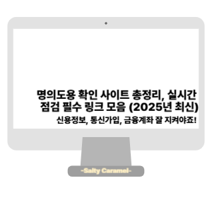 명의도용 확인