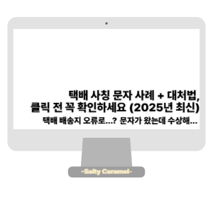 택배 사칭 문자