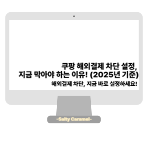 쿠팡 해외결제 차단 설정