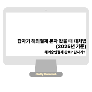 갑자기 해외결제 문자