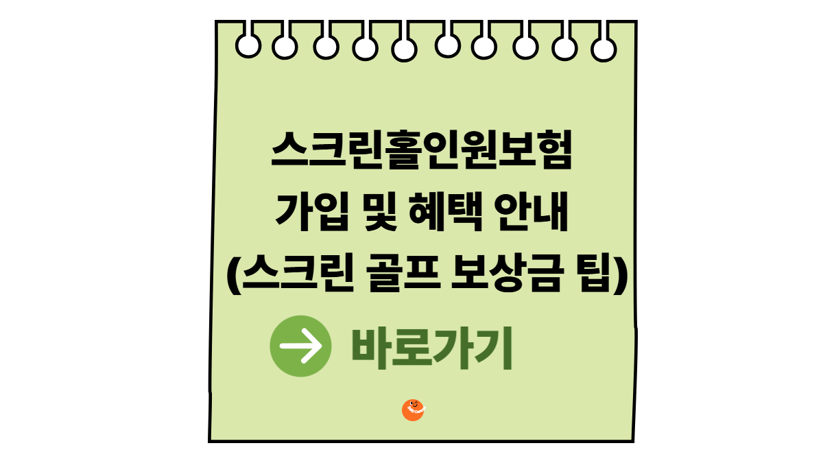 스크린홀인원보험