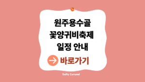 원주용수골꽃양귀비축제