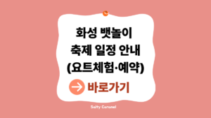 화성 뱃놀이 축제