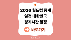 2026 월드컵 일정|대한민국 경기시간·중계 OTT 확인 방법 6 2026 월드컵 일정
