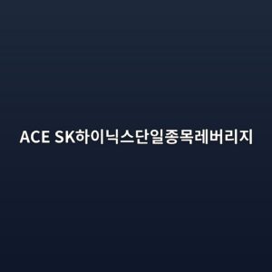 ACE SK하이닉스단일종목레버리지 ETF|상품정보·괴리율·주의사항 확인 8 ACE SK하이닉스단일종목레버리지