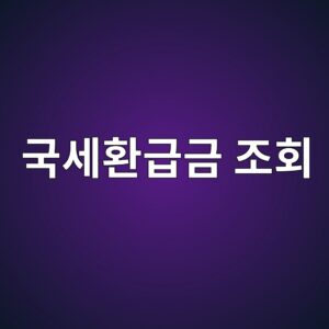국세환급금 조회