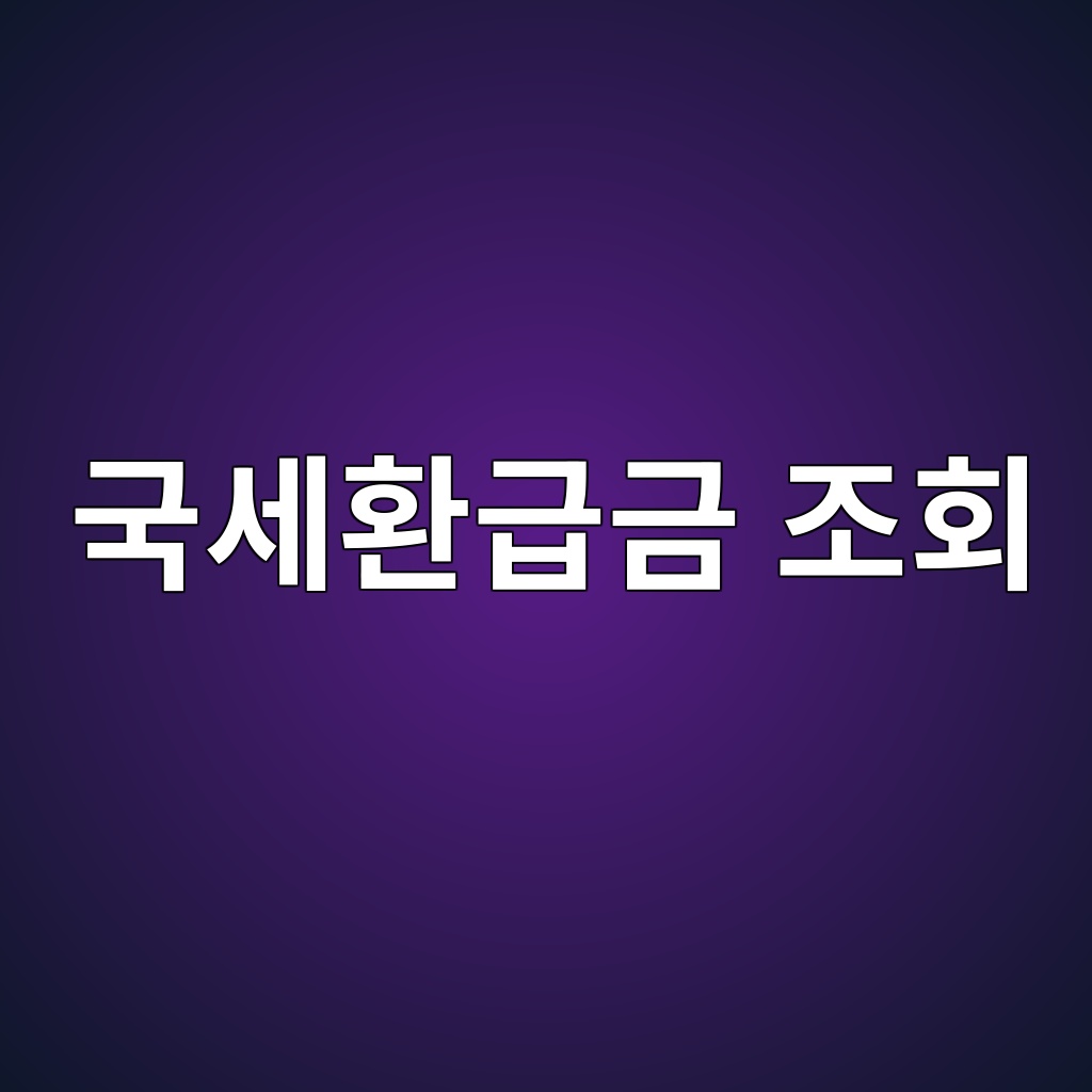 국세환급금 조회