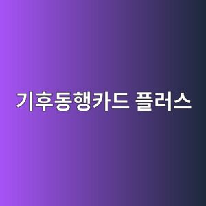 기후동행카드 플러스