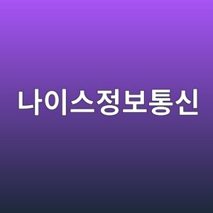 나이스정보통신