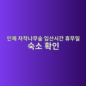인제 자작나무숲
