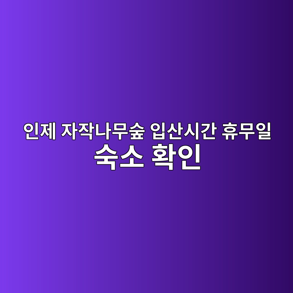 인제 자작나무숲