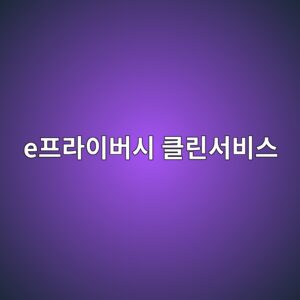e프라이버시 클린서비스