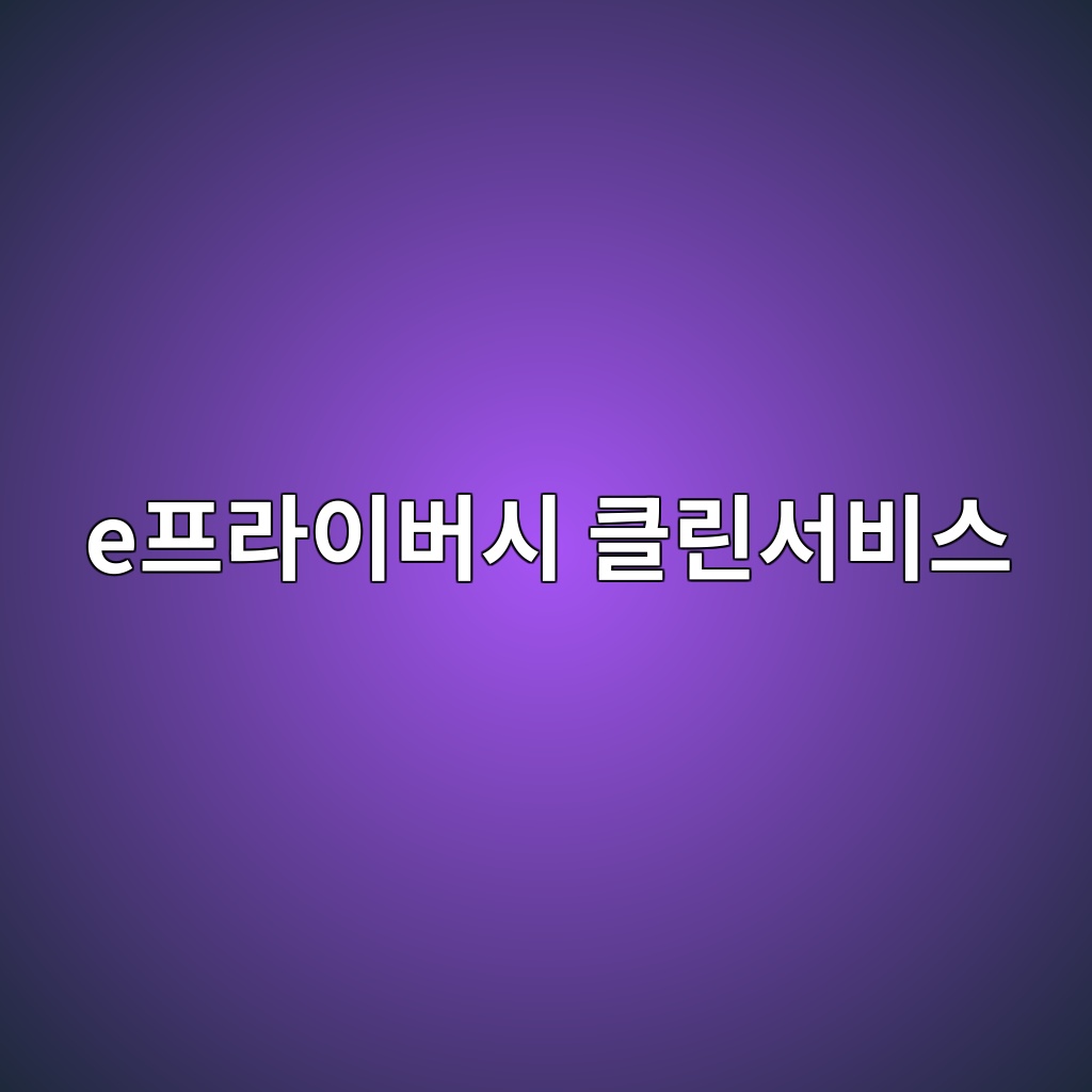 e프라이버시 클린서비스