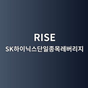 RISE SK하이닉스단일종목레버리지 ETF|KB RISE 상품정보·순자산·괴리율 확인 7 RISE SK하이닉스단일종목레버리지