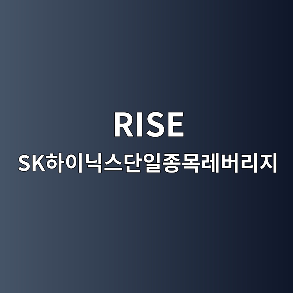 RISE SK하이닉스단일종목레버리지