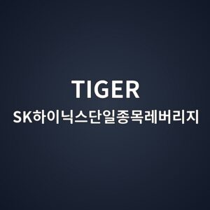 TIGER SK하이닉스단일종목레버리지 ETF|거래 전 공식 정보 확인하기 9 TIGER SK하이닉스단일종목레버리지
