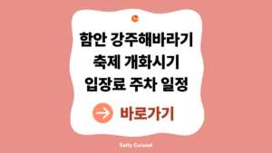 강주해바라기축제