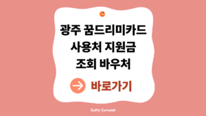광주 꿈드리미카드 신청 방법|2026 사용처·지원금·바우처 정리 1 광주 꿈드리미카드