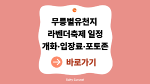 2026 무릉별유천지 라벤더축제 일정 안내 (개화·입장료·포토존 총정리) 7 무릉별유천지 라벤더축제