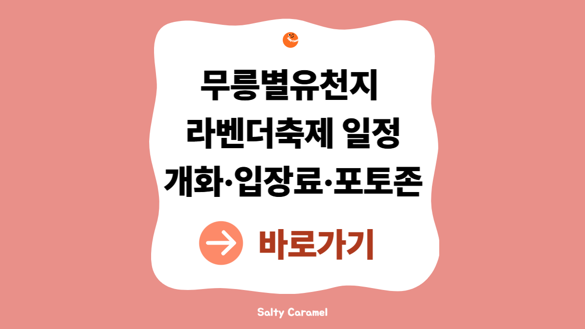 무릉별유천지 라벤더축제