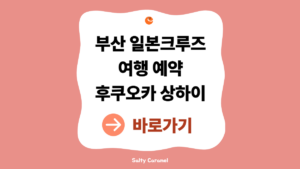 부산 일본크루즈여행