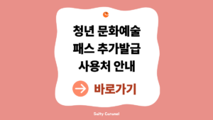 청년문화예술패스 추가발급 신청|6월 30일까지 대상·사용처 확인 1 청년문화예술패스