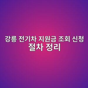 강릉 전기차 보조금