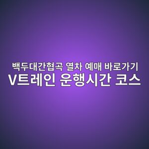 백두대간협곡 열차