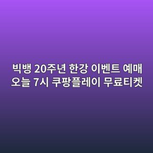 빅뱅 20주년 한강
