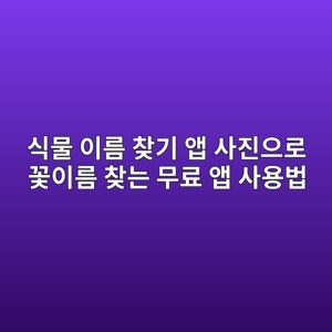 식물 이름 찾기 앱