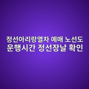 정선아리랑열차