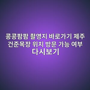 콩콩팜팜 촬영지