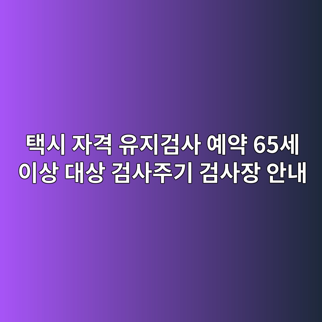 택시 자격 유지검사