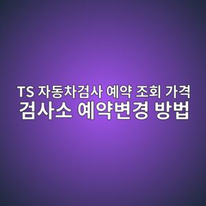 TS 자동차검사