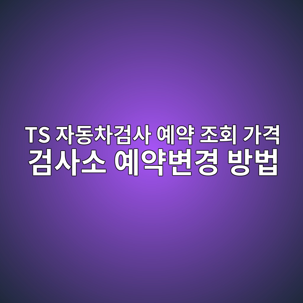 TS 자동차검사